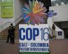 Se aclara en Cali el resultado de la COP16 sobre biodiversidad