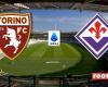 Torino vs Fiorentina: presentación del partido y predicciones