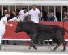 Suspenso y toros “de oro” para la 40ª final del Trofeo Pescalune