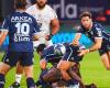 Bayona logra la victoria ante el Stade Toulousain