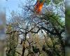 Los bomberos de Dordoña rescatan un parapente atrapado en un árbol a cinco metros de altura