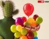 Cactus y globos para la campaña “respeto” de SBB