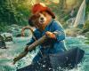 “Paddington en Perú”: estreno mundial en Londres del oso que “no ha perdido nada de su encanto y picardía”