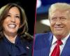 Elecciones estadounidenses: Trump vs. Harris: ¿qué representan los candidatos? | política