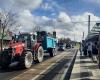 Acción de los agricultores: “Las protestas nunca han aumentado el precio de la leche”, dice un ganadero de Sarthois