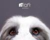 Aloft Milwaukee Downtown albergará “No Watch Pawties” esta noche