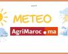 Previsión del tiempo para el martes 5 de noviembre de 2024 – AgriMaroc.ma