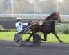 Héro Sibey gana con Damien Bonne en el Quinté+ de hoy