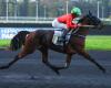 Lacinia brilla con Eric Raffin en su debut en Vincennes