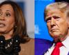 Los votantes de Texas votan mientras Donald Trump y Kamala Harris se enfrentan en las elecciones presidenciales de 2024