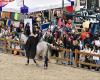 Maine y Loira. Faltan pocos días para la inauguración del Salón Ecuestre de Angers