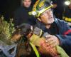 Bomberos y espeleólogos… El espectacular rescate de un perro atrapado desde el sábado en los Pirineos Orientales