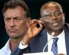 Leones del personal – Me Senghor desmiente a Hervé Renard: “No recibí el expediente de su solicitud” – Lequotidien