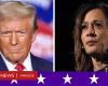 Donald Trump o Kamala Harris: cómo se perfilan los resultados electorales y qué está pasando en los estados clave que definen la batalla por la Casa Blanca