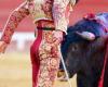 ¿Prohibirán pronto las corridas de toros para menores de 16 años, por el “riesgo de traumatismo” para los más jóvenes? El Senado responde “no”, por el momento, tras un examen ayer en la comisión de Derecho