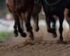 No habrá carreras de caballos en Francia este jueves, lo que explica esta ausencia rarísima