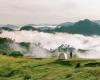 Lugar ‘curativo’ en Quang Nam atrae a turistas a acampar, escapar del polvo y perseguir las nubes – Vietnam.vn