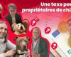 ¿Impuestos a los dueños de perros en 2025? En Oise, ¿qué opinas? “¡Será mejor que graven la estupidez!”