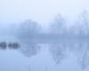 Cielos nublados, ausencia de sol, niebla: Indre-et-Loire vive uno de los peores principios de noviembre en 25 años