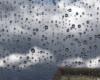 El tiempo en los Pirineos Orientales: 100 mm de lluvia en 3 horas en la costa, lo que provoca un descenso de las temperaturas