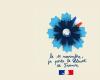 Campaña nacional Bleuet de France – 11 de noviembre de 2024 – Noticias