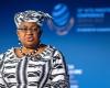 OMC: la nigeriana Okonjo-Iweala es la única candidata a la sucesión