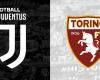 Equipo oficial de la Juventus para enfrentar al Torino: Vlahovic y Yildiz comienzan juntos