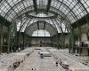 Foto de París: ¡esperado regreso al Grand Palais! | RMN