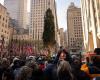 La Pícea Noruega de Massachusetts llega a Nueva York como árbol de Navidad del Rockefeller Center