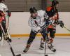 Un partido para descubrir el hockey sobre hielo en la pista de hielo de Le Mans