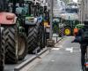 “La copa vuelve a estar llena”: los jóvenes agricultores actuaron en las carreteras valonas