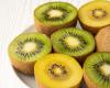 ¿La piel de kiwi es buena para la salud?