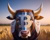 Bitcoin el 10 de noviembre: ¿BTC en camino a los $80,000?