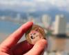 Las monedas meme con temática de perros Dogecoin, Shiba Inu y Dogwifhat amplían sus ganancias mientras persiste el repunte liderado por Trump