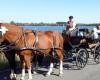 Un abuelo que paseaba con sus nietos muere en un accidente de carruaje en Bougnimont (Libramont)