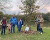 Este pueblo de Calvados celebra los nacimientos de una forma original