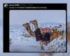 las imágenes más bellas del país afectado por la nieve