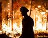 La sequía histórica alimenta las llamas en todo el noreste mientras los incendios forestales arden en ambas costas