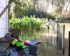 Después de once inundaciones en un año, el hartazgo de estos jardineros, que piden 30.000 euros de indemnización