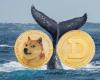 El explosivo regreso de Dogecoin: ¿$0,41 hoy, $2,40 mañana?