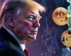 Trump y Elon Musk envían Bitcoin (BTC) a nuevos máximos mientras Dogecoin (DOGE) se vuelve parabólico, ¿qué sigue?