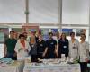 Diabetes: tres grandes reuniones en Nimes esta semana