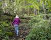 Un informe advierte sobre el surgimiento de una generación de niños aislados de la naturaleza