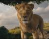 Mufasa se toma algunas libertades con su último tráiler