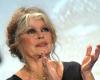 Casada cuatro veces, Brigitte Bardot habla de su vida amorosa: “Nunca he…”