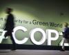 Te explicamos qué son los mercados de créditos de carbono, que recibieron un nuevo marco en la COP29