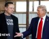 Trump elige a Elon Musk para asesorar sobre cómo “desmantelar” la burocracia