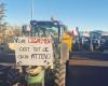 Los agricultores de Hérault planean movilizarse la próxima semana