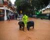 Tras el levantamiento de la alerta roja, las aterradoras imágenes de nuevas inundaciones en España