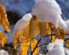 Domingo, “día de transición”: el lunes llega el invierno: ¡la nieve coqueteará con la llanura!